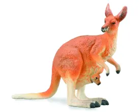 Kangaroo with Joey