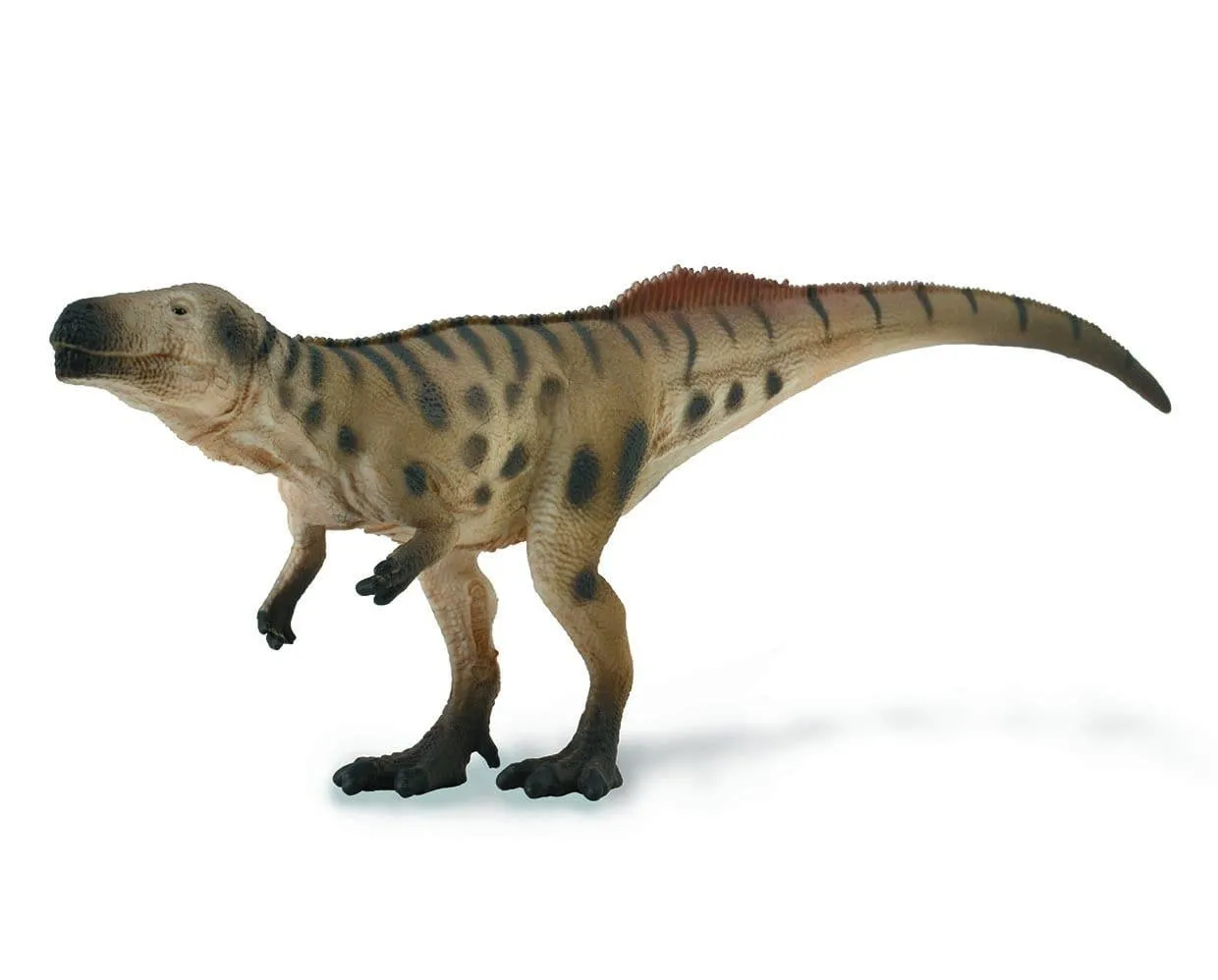 Megalosaurus in Ambush