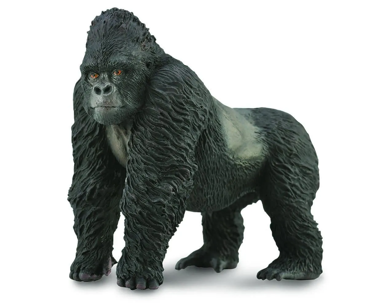 Mountain Gorilla