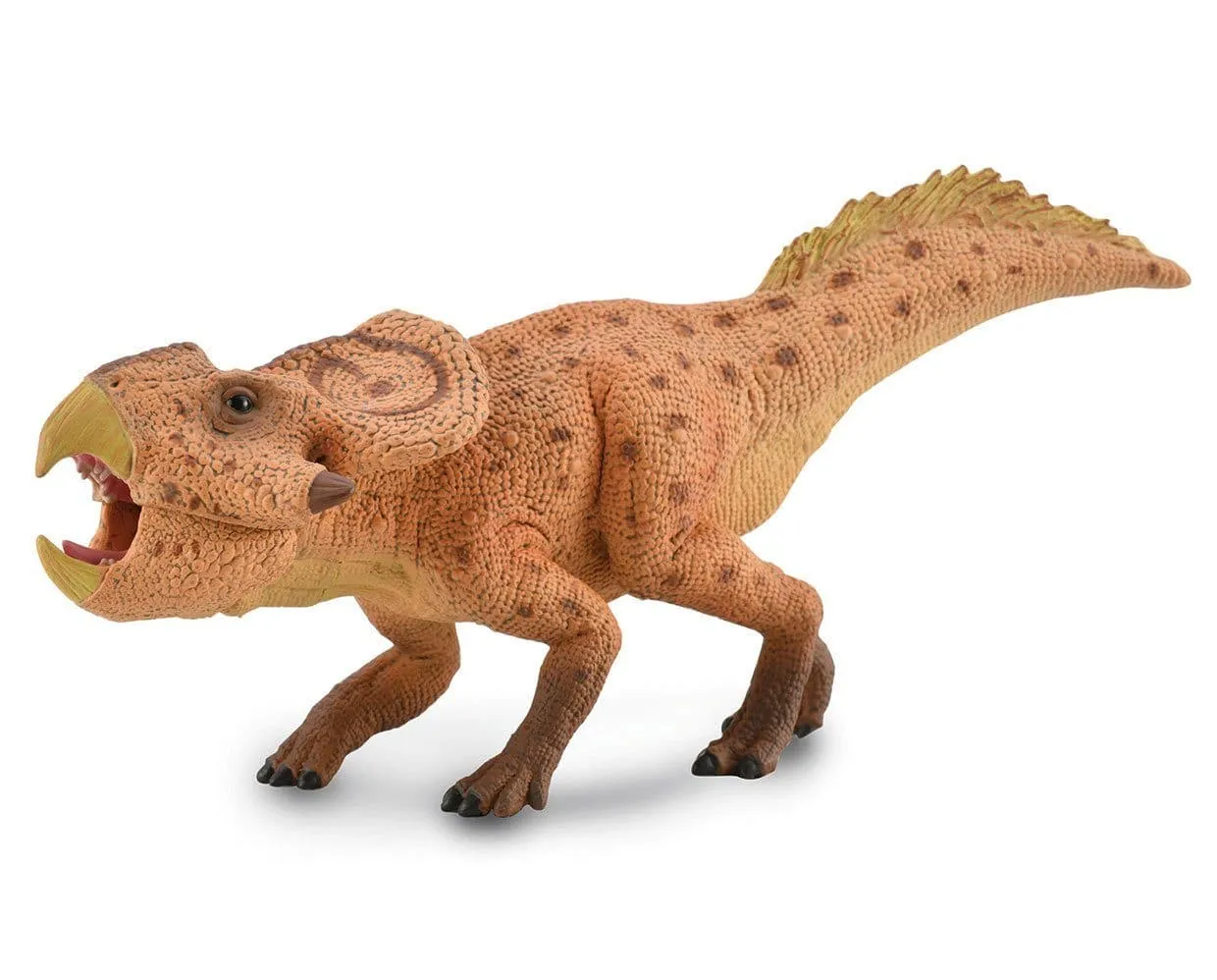 Protoceratops with Movable Jaw