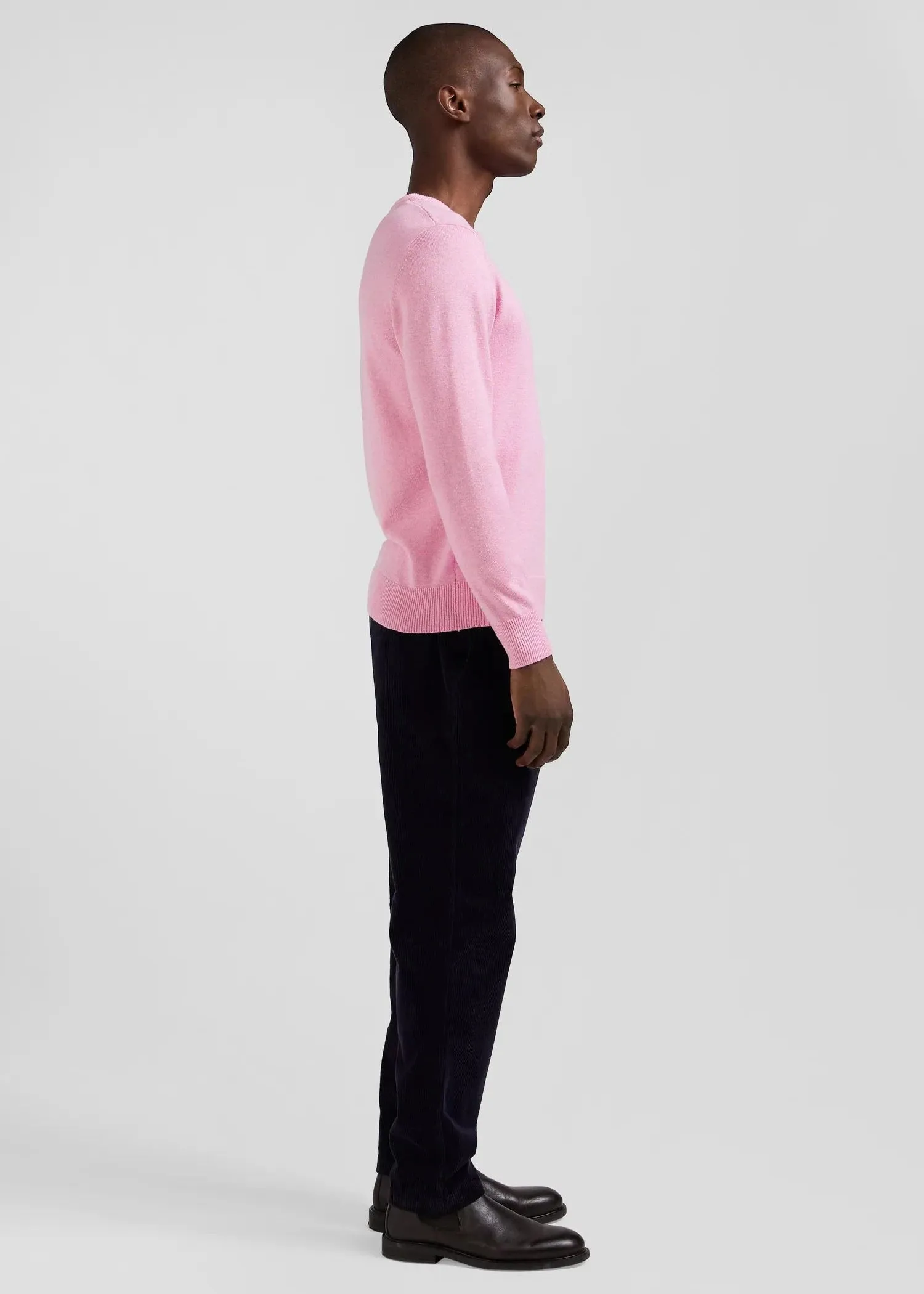 Pull Eden Park rose