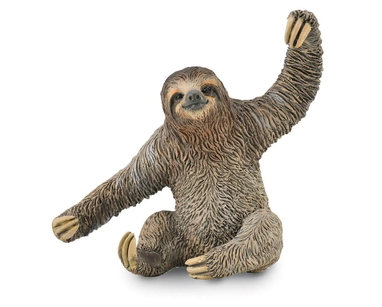 Sloth